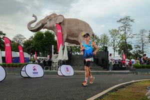 BIB: 
                            <button type="button" onclick="openModal(26528566)" class="btn btn-primary btn-sm float-right btn-popup" data-toggle="modal" data-target=".modal-high-quality">
                        <i class="fas fa-shopping-cart"></i> Add to Cart
                    </button>
                                            <button type="button" onclick="isThisMe(26528566, true)" class="btn btn-success btn-sm float-right btn-popup btn-isme hidden" data-toggle="tooltip" data-placement="bottom" title="นี่คือรูปของคุณใช่ไหม คลิกที่นี่เพื่อเอาเข้าอัลบั้ม">
                        <i class="fas fa-plus"></i> Add to album
                    </button>
                    <button type="button" onclick="isThisMe(26528566, false)" class="btn btn-warning btn-sm float-right btn-popup btn-isnotme hidden">
                        <i class="fas fa-ban"></i> Remove from album
                    </button>